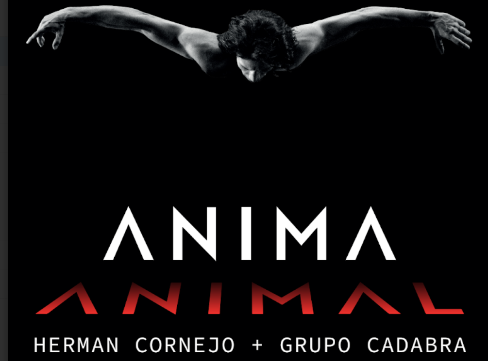 Anima Animal