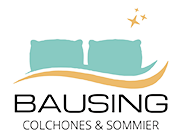 Bausing