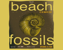 BEACH FOSSILS