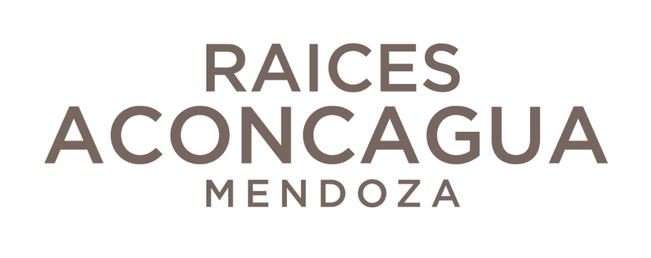 Hotel Aconcagua